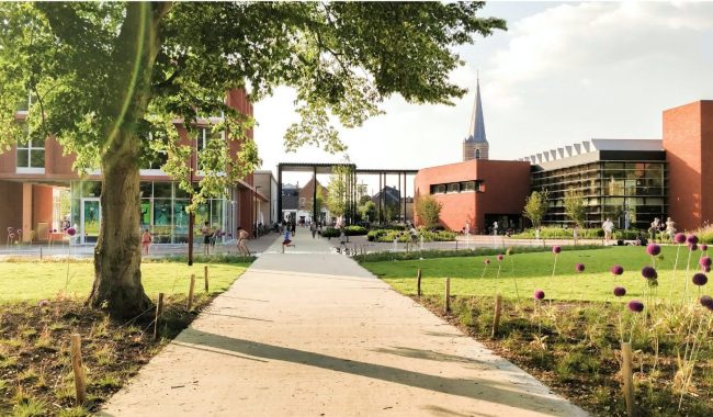 case-evolta-grid-1533×876